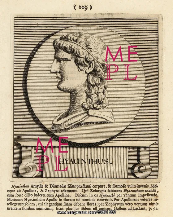 : Hyacinth, divine hero and lover of Apollo from : Hyacinth, divine hero and lover of Apollo from