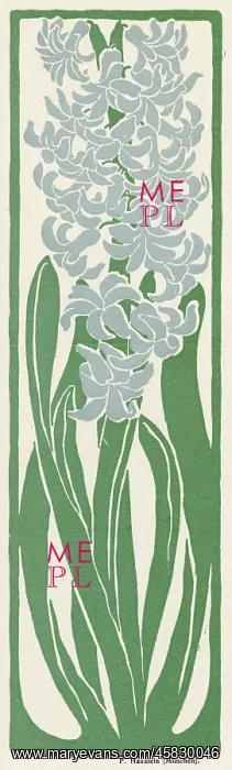 : Hyacinth - Jugend 1898 : Hyacinth - Jugend 1898