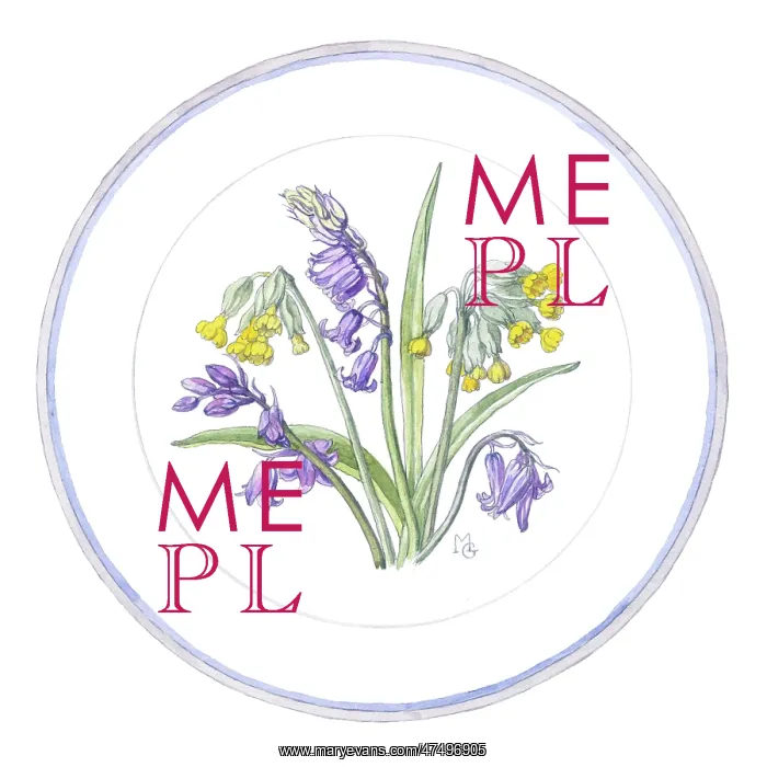  : Hyacinths and Cowslips in a circular border