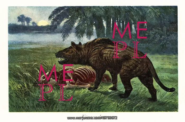 : Hyaenodon, extinct genus of carnivorous mammals : Hyaenodon, extinct genus of carnivorous mammals