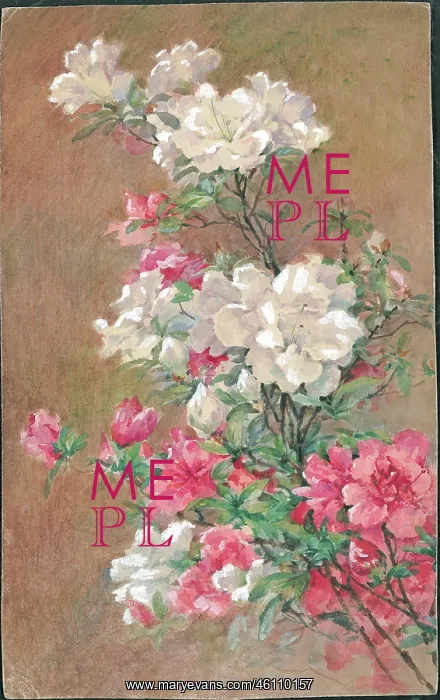 : Hyateas'. Flowers : Hyateas'. Flowers