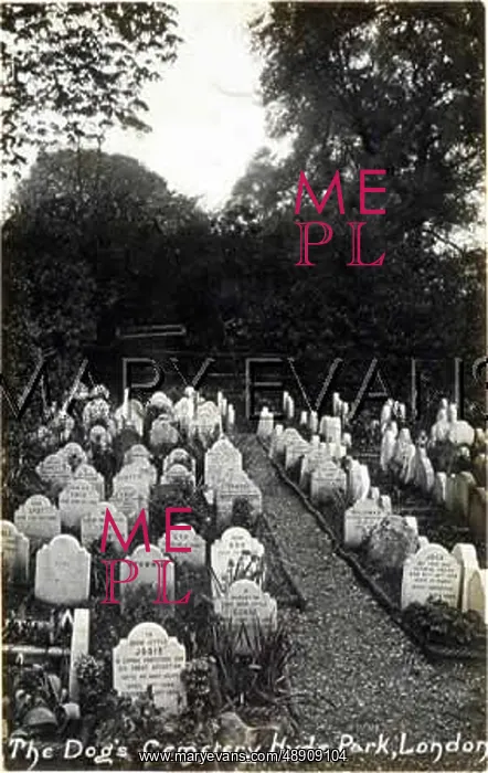 : HYDE PARK DOG CEMETERY 1 : HYDE PARK DOG CEMETERY 1