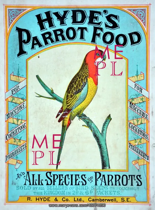 : Hyde's Parrot Food : Hyde's Parrot Food