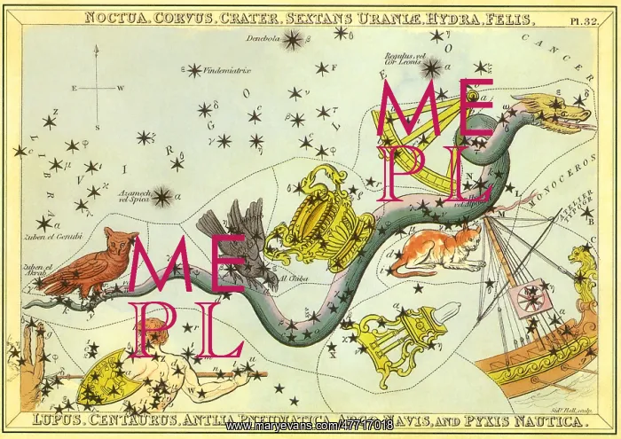 : Hydra and Owl with Sextant : Hydra and Owl with Sextant