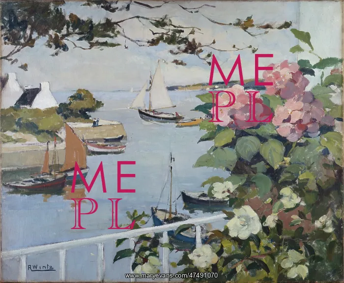 : Hydrangeas on balcony overlooking harbour : Hydrangeas on balcony overlooking harbour