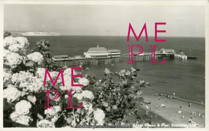 : Hydrangeas, Keats Garden and Pier, Shanklin, Isle of Wight : Hydrangeas, Keats Garden and Pier, Shanklin, Isle of Wight