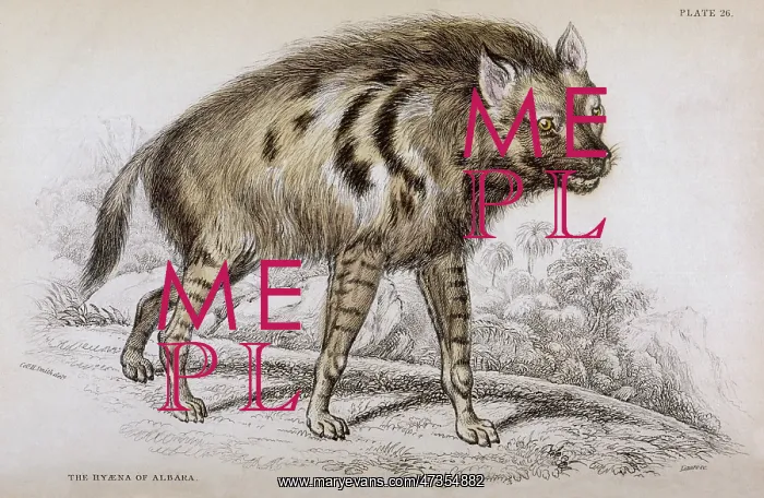  : HYENA OF ALBARA 1840