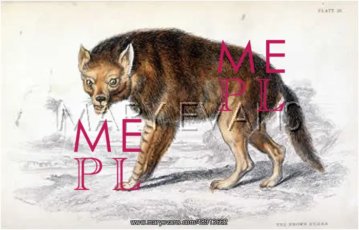  : HYENA  /  BROWN 1840