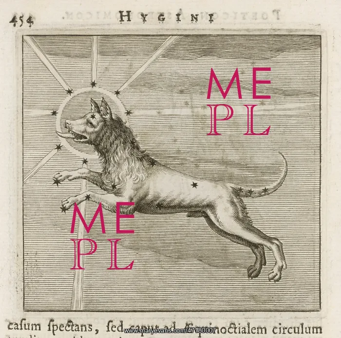  : HYGINUS  /  CANIS MAJOR