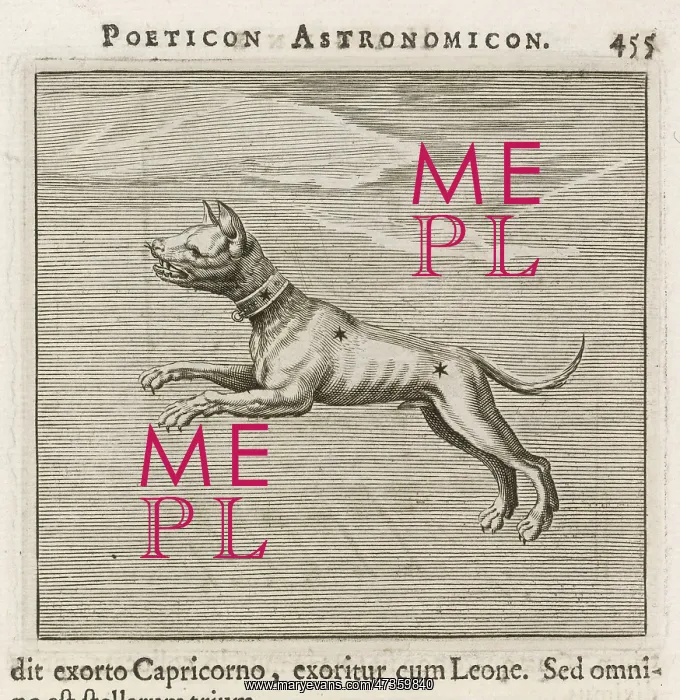  : HYGINUS  /  CANIS MINOR