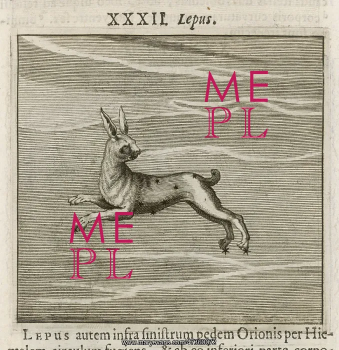  : HYGINUS  /  LEPUS