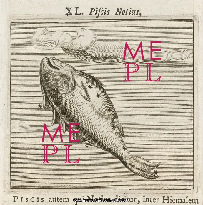  : HYGINUS  /  PISCIS NOTIUS