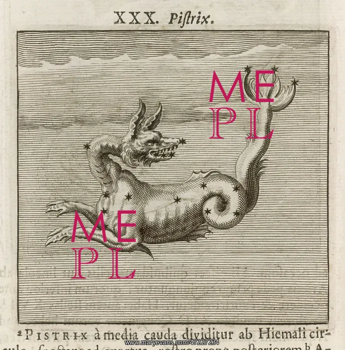  : HYGINUS  /  PISTRIX