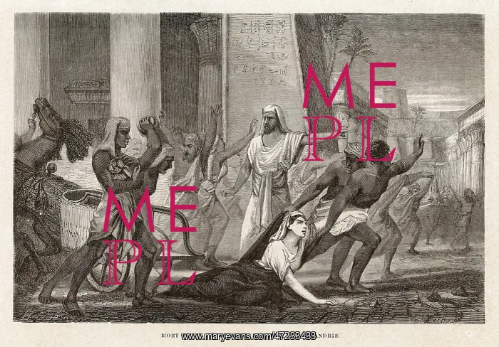 : Hypatia. HYPATIA Philosopher of Alexandria, murdered by her opponents : Hypatia. HYPATIA Philosopher of Alexandria, murdered by her opponents