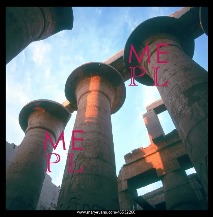 : HYPOSTYLE HALL : HYPOSTYLE HALL