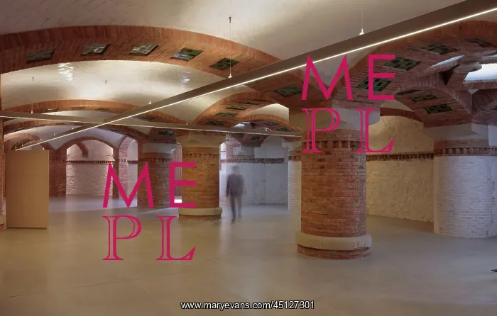 : Hypostyle Hall, Administration Pavilion, Hospital : Hypostyle Hall, Administration Pavilion, Hospital