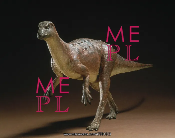 : Hypsilophodon : Hypsilophodon