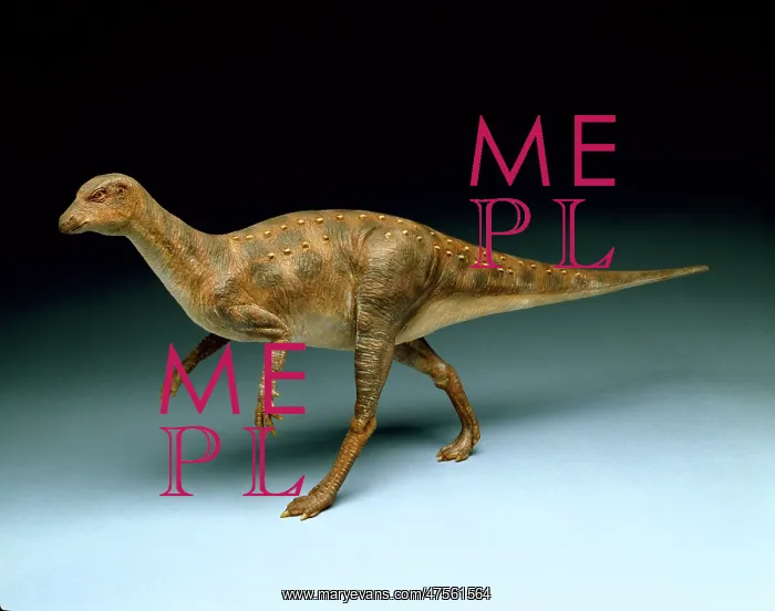 : Hypsilophodon : Hypsilophodon