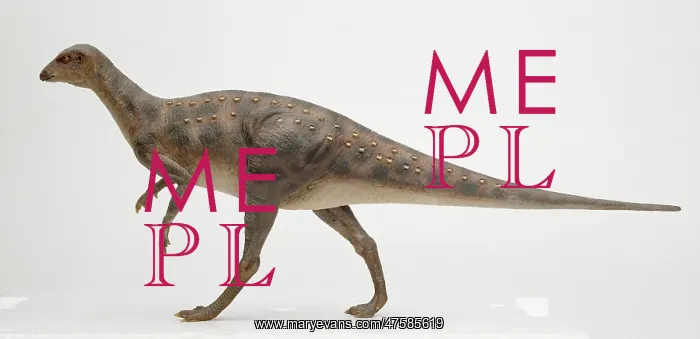 : Hypsilophodon : Hypsilophodon