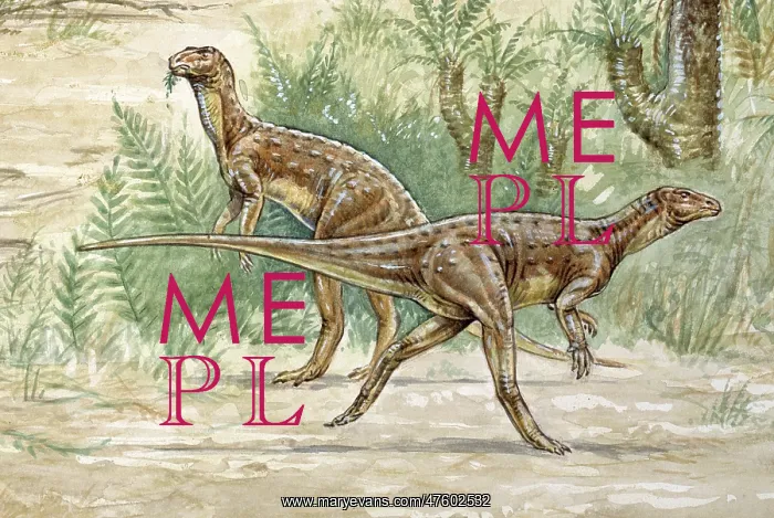 : Hypsilophodon : Hypsilophodon