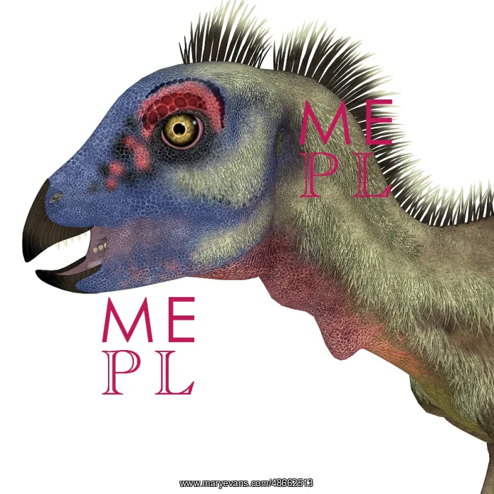 : Hypsilophodon dinosaur head : Hypsilophodon dinosaur head