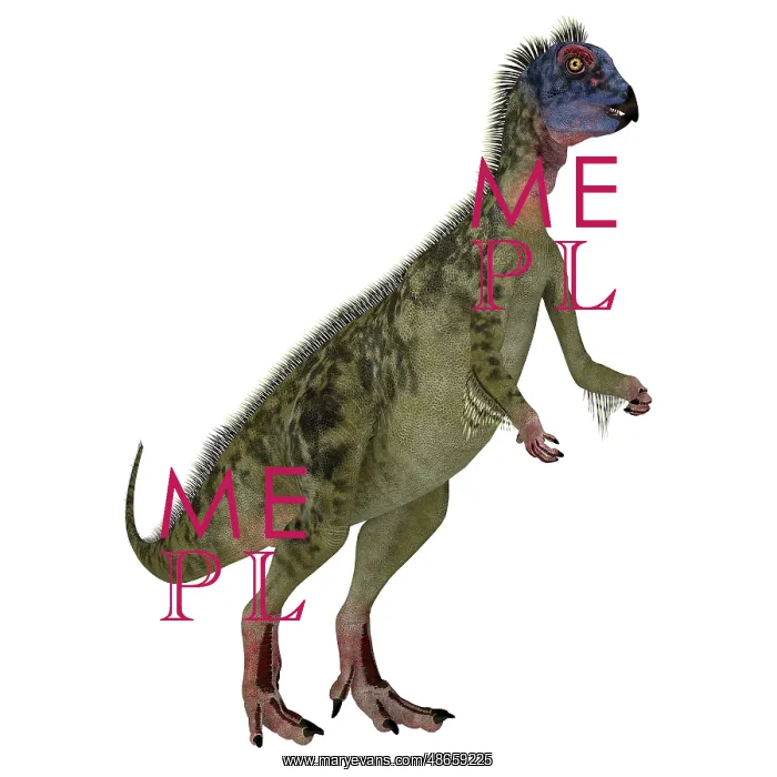 : Hypsilophodon dinosaur, side view on white background : Hypsilophodon dinosaur, side view on white background