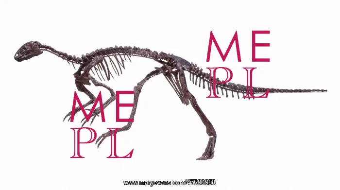 : Hypsilophodon skeleton : Hypsilophodon skeleton