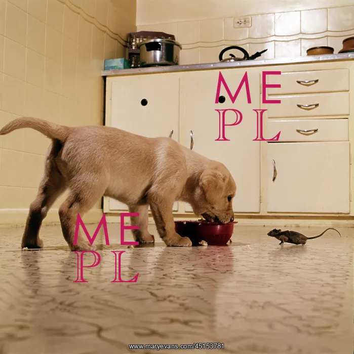 : Can I Have Some : Can I Have Some