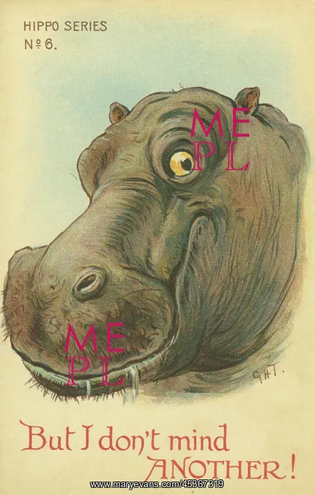 : Hippo. But I don't mind another! Illustrated comic postcard of a happy hippo : Hippo. But I don't mind another! Illustrated comic postcard of a happy hippo