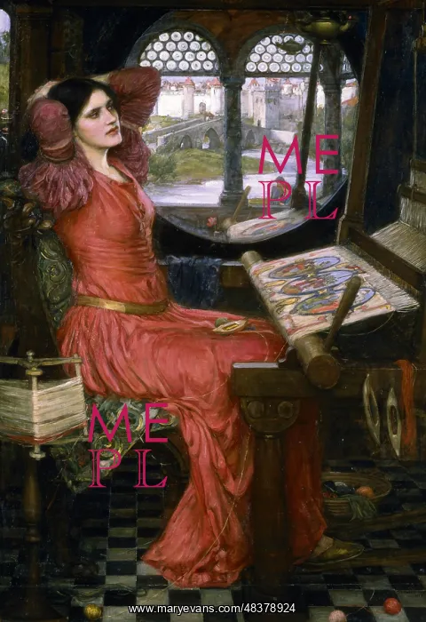 : I am Half Sick of Shadows, said the Lady of Shalott : I am Half Sick of Shadows, said the Lady of Shalott