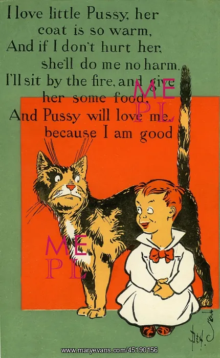: I love little pussy : I love little pussy