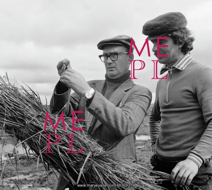 : I. Skorodumov and V. Patuka : I. Skorodumov and V. Patuka