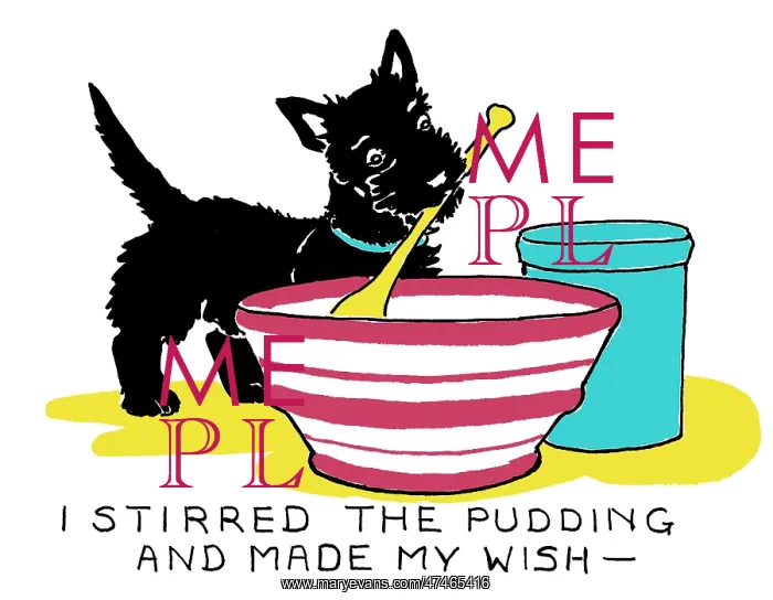 : I stirred the pudding and made my wish : I stirred the pudding and made my wish