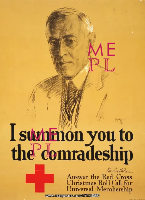 : I summon you to the comradeship - Woodrow Wilson Answer the : I summon you to the comradeship - Woodrow Wilson Answer the