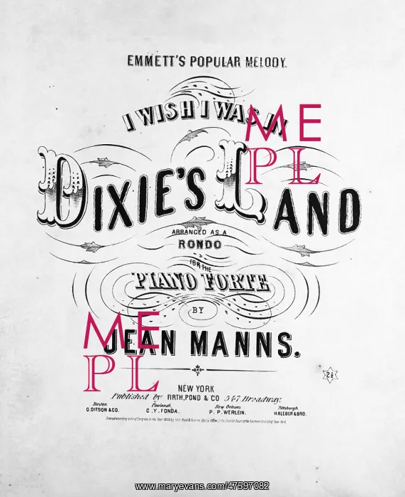 : I Wish I Was in Dixie's Land : I Wish I Was in Dixie's Land