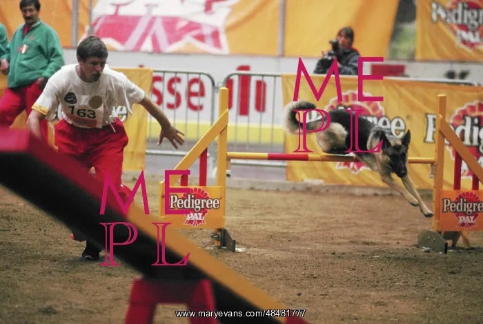 : I World Agility Championship : I World Agility Championship