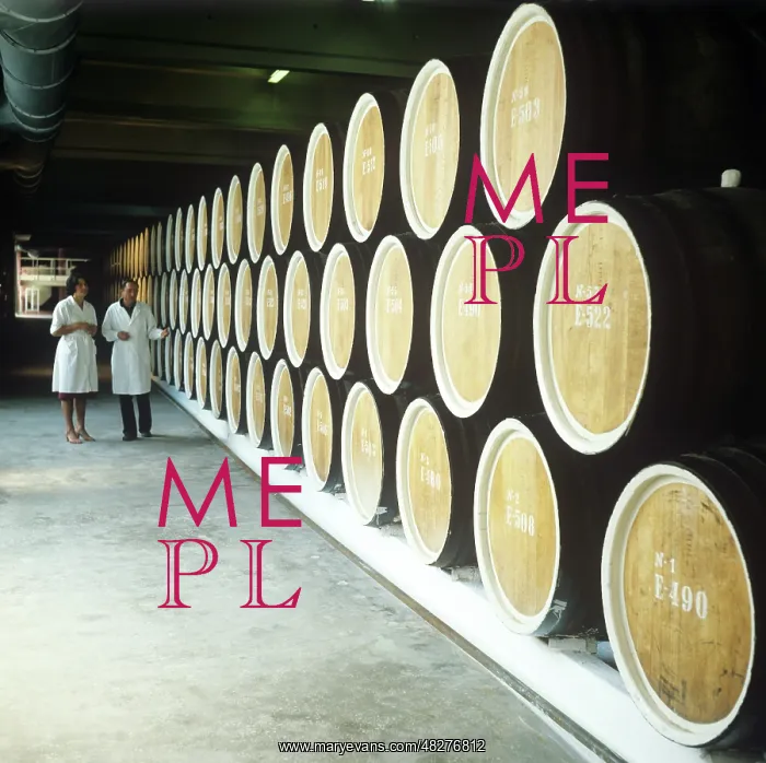 : Ialoveni Winery, 1982 : Ialoveni Winery, 1982