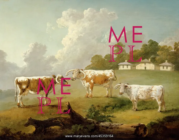 : Ibbetson - Three long-horned cattle : Ibbetson - Three long-horned cattle
