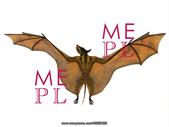 : Icaronycteris bat wings : Icaronycteris bat wings