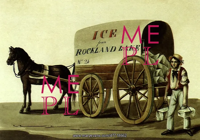  : Ice Cart