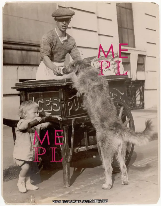 : ICE CREAM SELLER & DOG : ICE CREAM SELLER & DOG