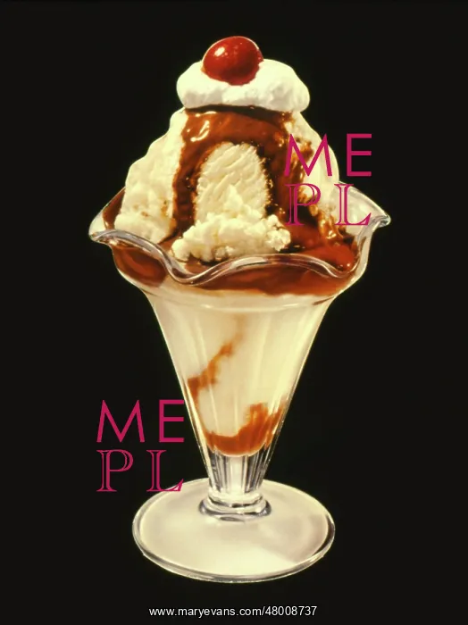 : Ice cream sundae with chocolate sauce : Ice cream sundae with chocolate sauce