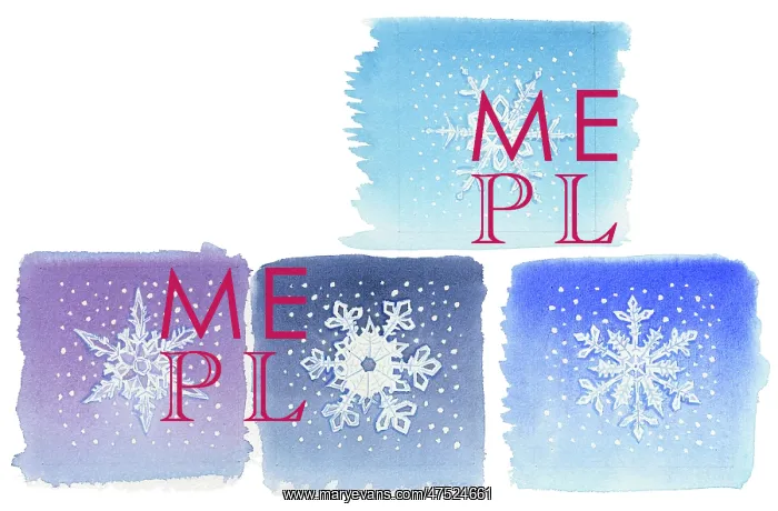  : Four ice crystal gift tags