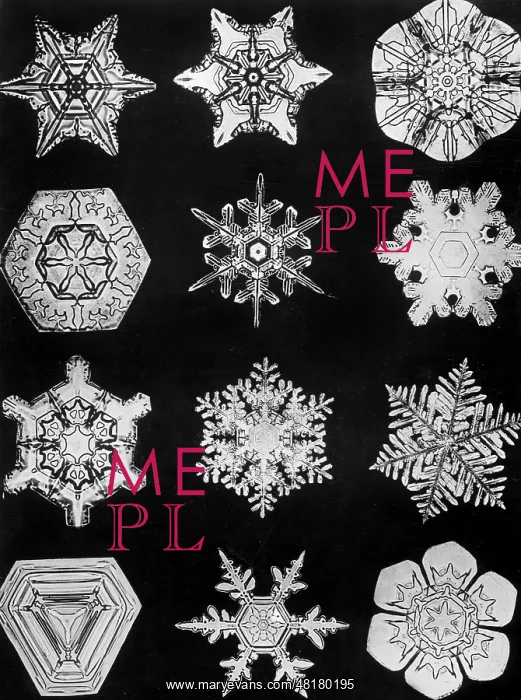 : Ice crystals, 1942 : Ice crystals, 1942