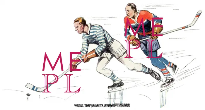  : Ice Hockey