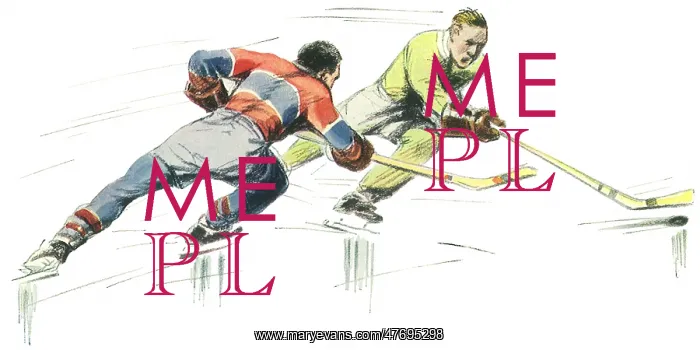  : Ice Hockey
