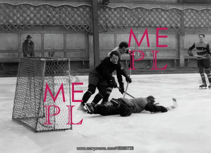 : Ice hockey game : Ice hockey game