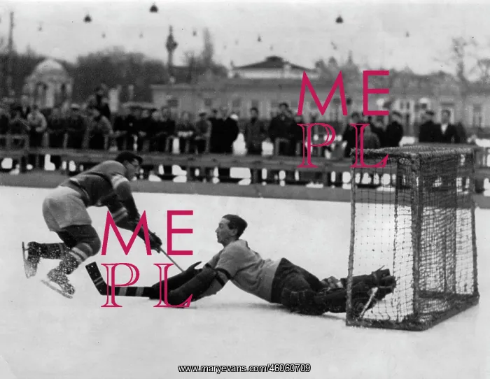 : Ice hockey game : Ice hockey game