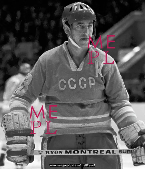 : Ice hockey player Boris Mikhailov, 1973 : Ice hockey player Boris Mikhailov, 1973