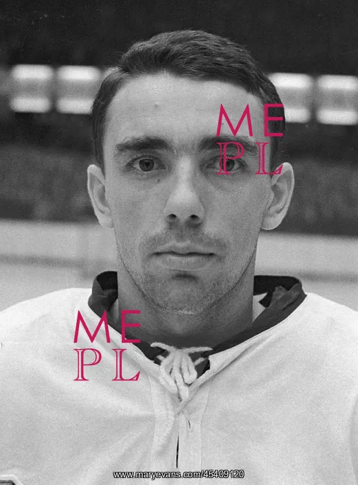  : Ice hockey player Jan Suchy